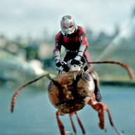 Ant Man
