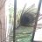 Vinu_1